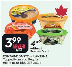 Sobeys FONTAINE SANTÉ or LANTANA Topped Hummus, Regular Hummus or Dips offer