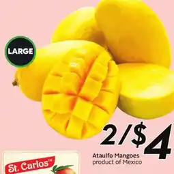 Sobeys Ataulfo Mangoes - Tropical Fest offer