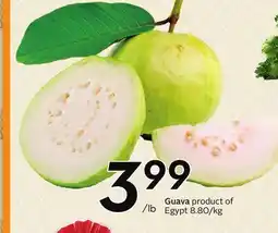 Sobeys Guava offer