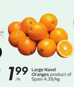 Sobeys Large Navel Oranges offer