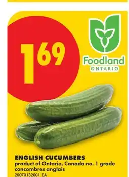 No Frills ENGLISH CUCUMBERS offer