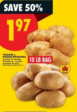 No Frills YELLOW OR RUSSET POTATOES, 10 LB BAG offer