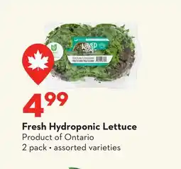 Longo's Fresh Hydroponic Lettuce offer