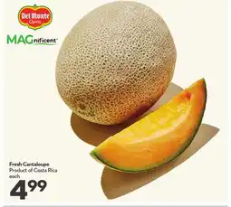 Longo's Fresh Cantaloupe offer