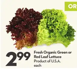 Longo's Fresh Organic Green or Red Leaf Lettuce offer