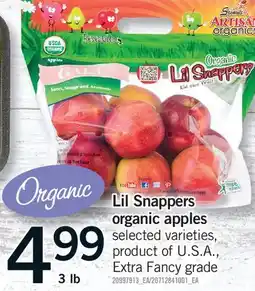 Fortinos LIL SNAPPERS ORGANIC APPLES, 3 lb offer