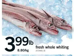 Fortinos FRESH WHOLE WHITING offer