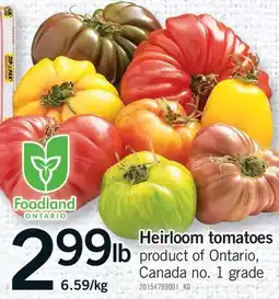 Fortinos HEIRLOOM TOMATOES offer