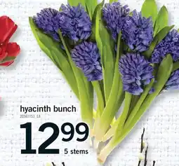 Fortinos HYACINTH BUNCH, 5 stems offer