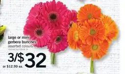 Fortinos LARGE OR MINI GERBERA BUNCHES offer