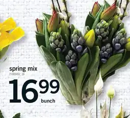 Fortinos SPRING MIX offer