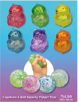 Showcase Capybara & Ball Squishy Fldget Toys offer