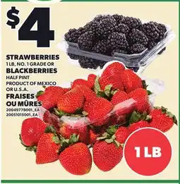 Independent Grocer STRAWBERRIES, 1 LB OR BLACKBERRIES, HALF PINT offer