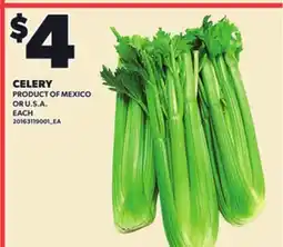 Loblaws CELERY offer