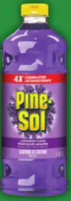 Food Basics PINE-SOL CLEANER OR CLOROX BLEACH offer