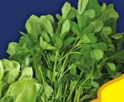Food Basics SPINACH, METHI LEAVES offer