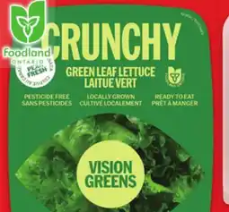 Metro VISION GREENS LETTUCES offer
