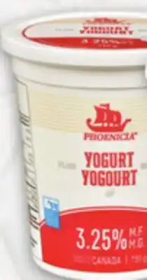 Metro HANS DAHI, CEDAR OR PHOENICIA YOGOURT offer
