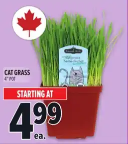 Metro CAT GRASS offer