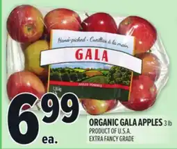 Metro ORGANIC GALA APPLES offer