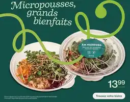 Avril Micropousses, grands bienfaits offer