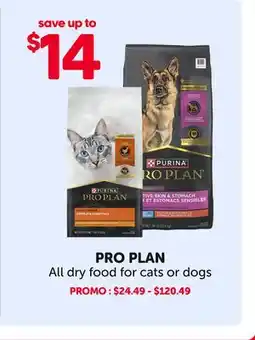 Mondou PRO PLAN offer