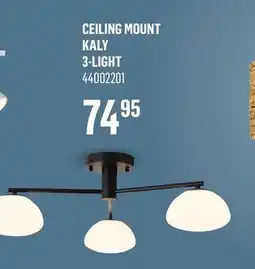 Canac Ceiling Mount offer