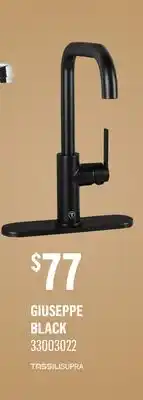 Canac Tassili supra Giuseppe kitchen Faucet offer