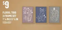Canac Floral Trio 3-Frame Set 7 7/8inx11 3/4in offer