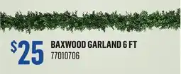 Canac Baxwood Garland 6 ft offer