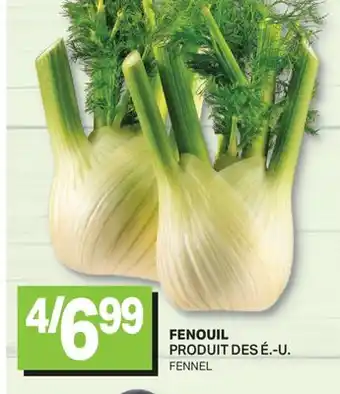 L'Intermarché FENOUIL | FENNEL offer