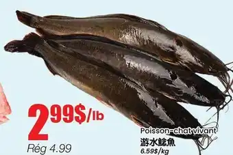 Btrust Supermarket Poisson-chat vivant offer