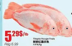 Btrust Supermarket Tilapia Rouge Frais offer