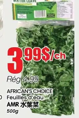Btrust Supermarket AFRICAN'S CHOICE Feuilles d'eau offer