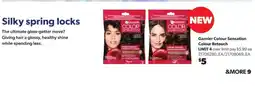 Real Canadian Superstore Garnier Colour Sensation Colour Retouch offer