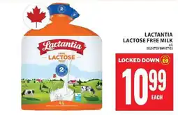 Food Basics LACTANTIA LACTOSE FREE MILK offer