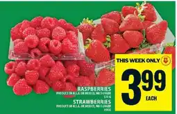 Food Basics Raspberries and Strawberries offer