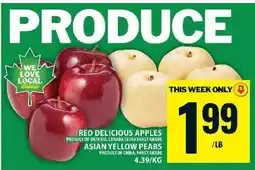 Food Basics Red Delicious Apples offer