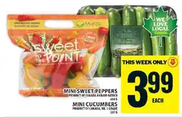 Food Basics Mini Sweet Peppers or Mini Cucumbers offer