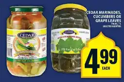 Food Basics Cedar Marinades, Cucumbers or Grape Leaves offer