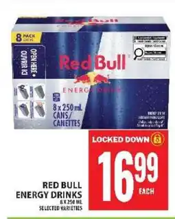 Food Basics RED BULL ENERGY DRINKS offer