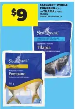 Real Canadian Superstore Seaquest Whole Pompano or Tilapia offer