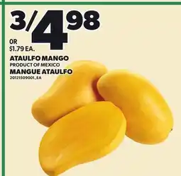 Independent City Market ATAULFO MANGO offer