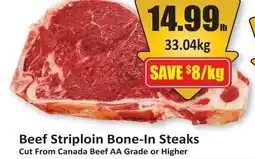 Starsky Beef Striploin Bone-In Steaks offer