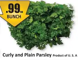 Starsky Curly and Plain Parsley offer