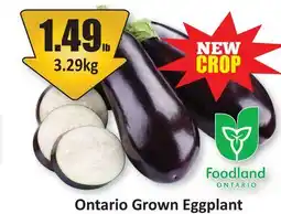Starsky Ontario Grown Eggplant offer