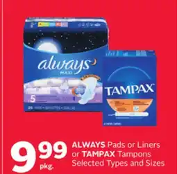 Rexall ALWAYS Pads or Liners or TAMPAX Tampons offer