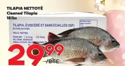 Marche Salaberry TILAPIA NETTOYÉ offer