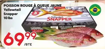 Marche Salaberry POISSON ROUGE À QUEUE JAUNE offer