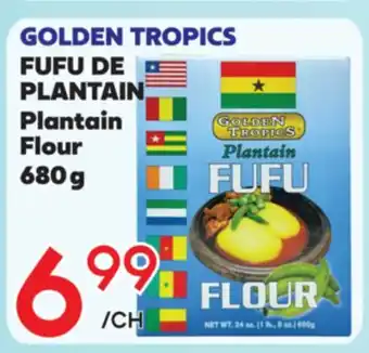 Marche Salaberry GOLDEN TROPICS FUFU DE PLANTAIN offer